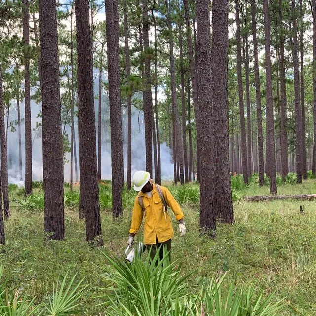 thumbnail for publication: Resources for Prescribed Fires on Private Lands in Florida